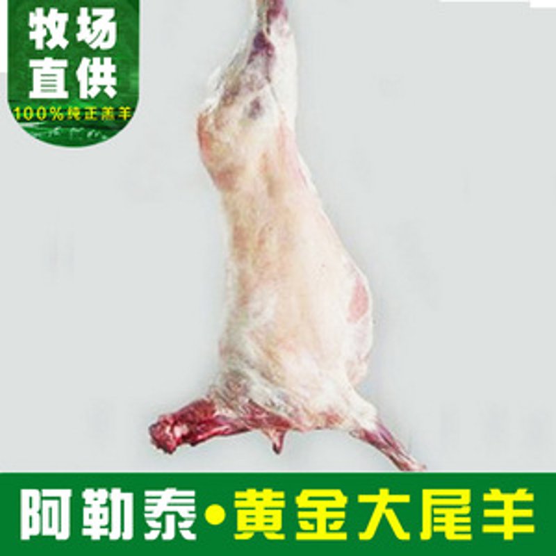 阿勒泰市商贸发展新亮点